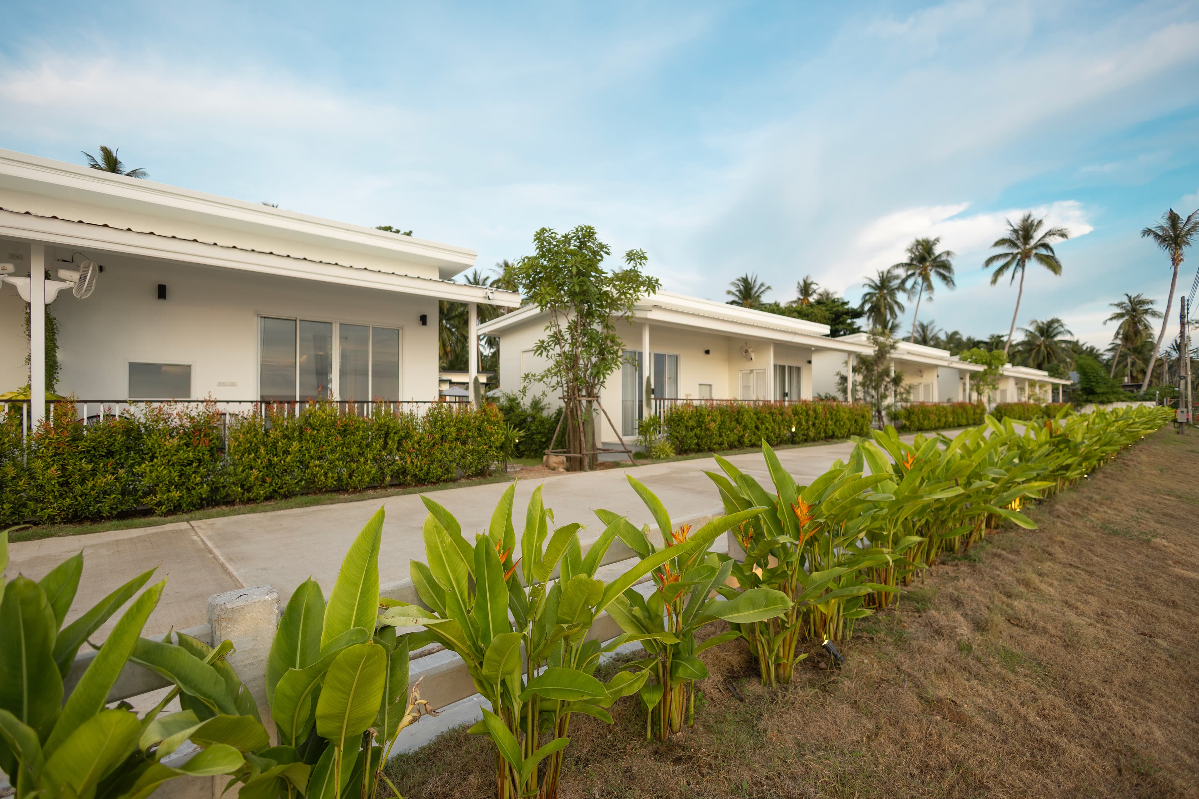 Clean bedroom with wood platform bed and garden window — Caya Beach